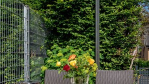 Outdoor dining - Vacation apartment 1 - Gasthaus Bußmann (Vreden)