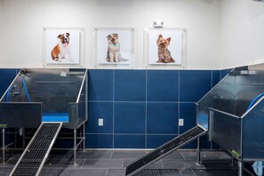 A grooming station with three framed dog portraits on the wall, a blue tiled wall, and a metal grooming table. - Sapphire Shores Lakeside Escape Pet Friendly (Rowlett)