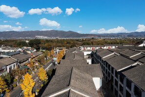 Miscellaneous - BLOSSOM Floral Art Aesthetic Villa (Dali)