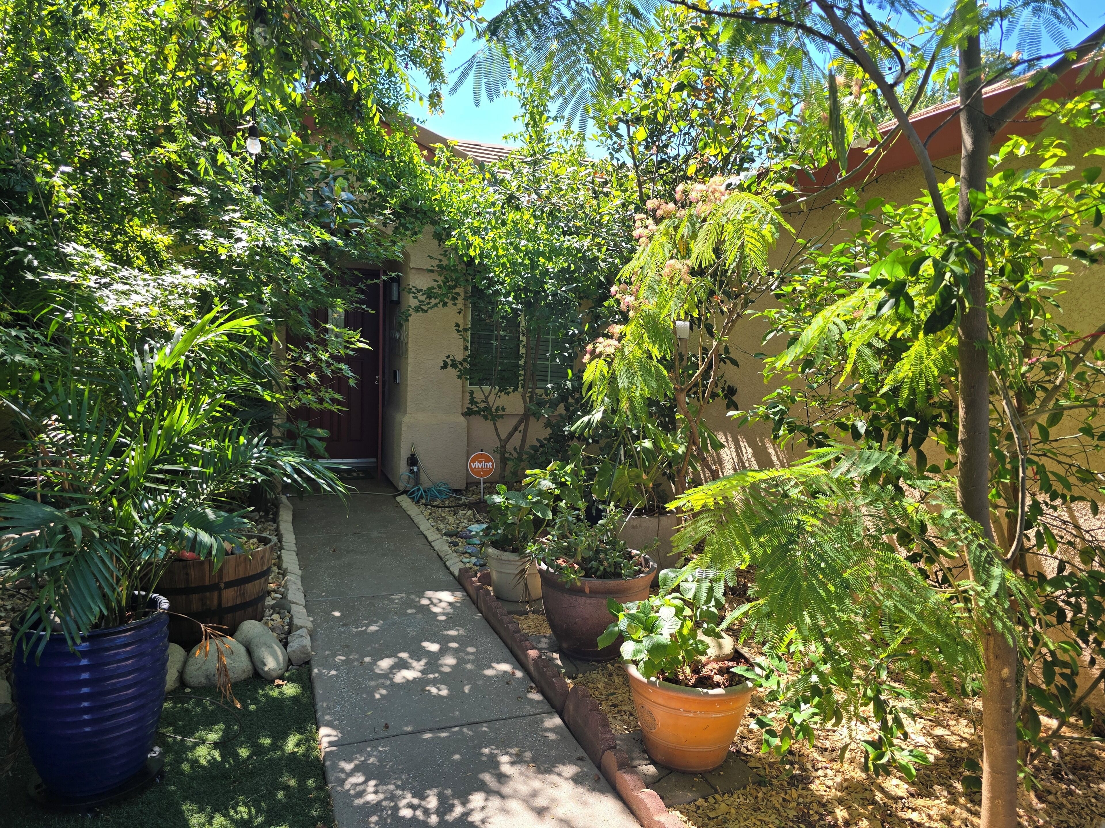 Un chemin de jardin menant à un bâtiment doté d’une porte, entouré de diverses plantes en pot et d’arbres.
