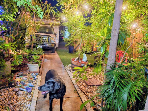 A paved pathway in a garden area with a dog, potted plants, and a vehicle in the background. - La Casita Colombiana (Antelope)