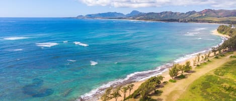 An aerial view of a coastal area with clear blue waters, a sandy beach, and a line of trees.