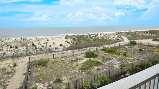 Blick auf einen Strand mit Holzzaun und spärlicher Vegetation.