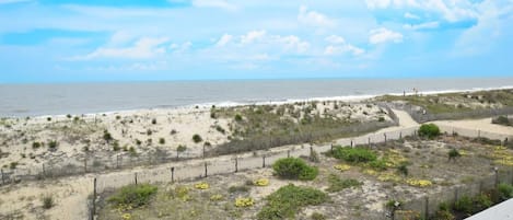 Condo, 1 Bedroom | Beach