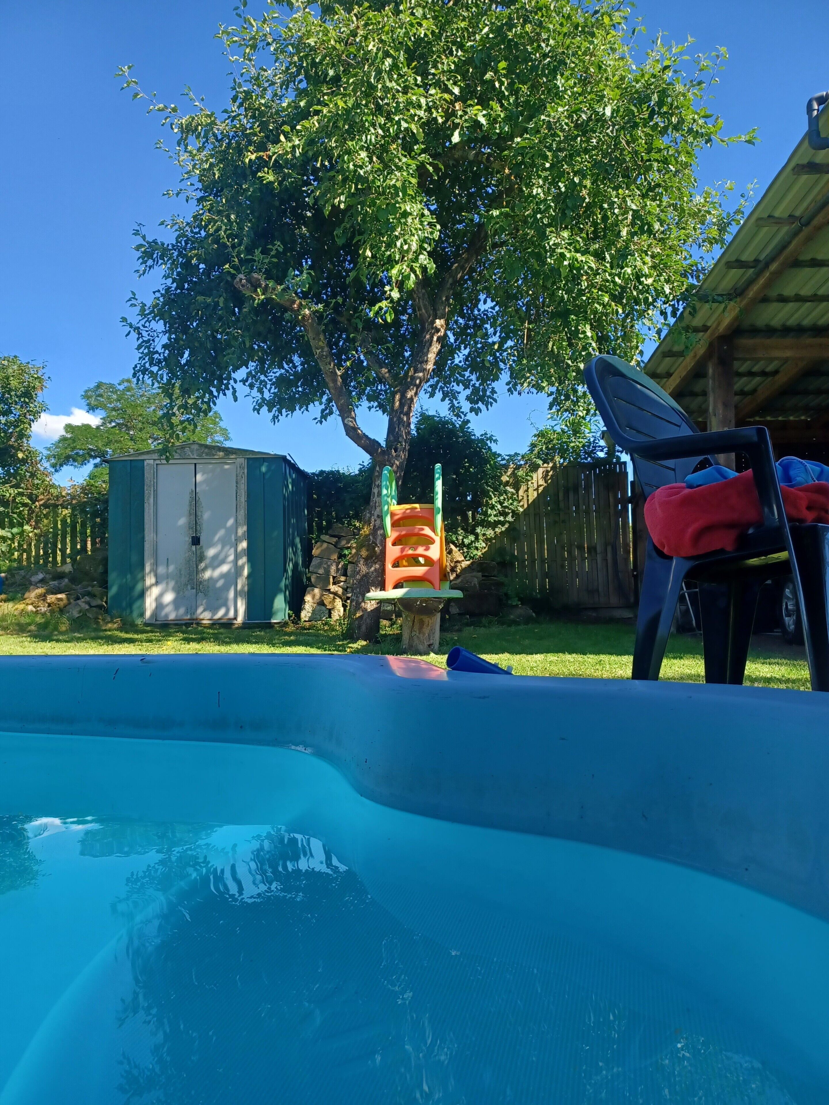 Une piscine avec un arbre et un petit abri de jardin en arrière-plan.