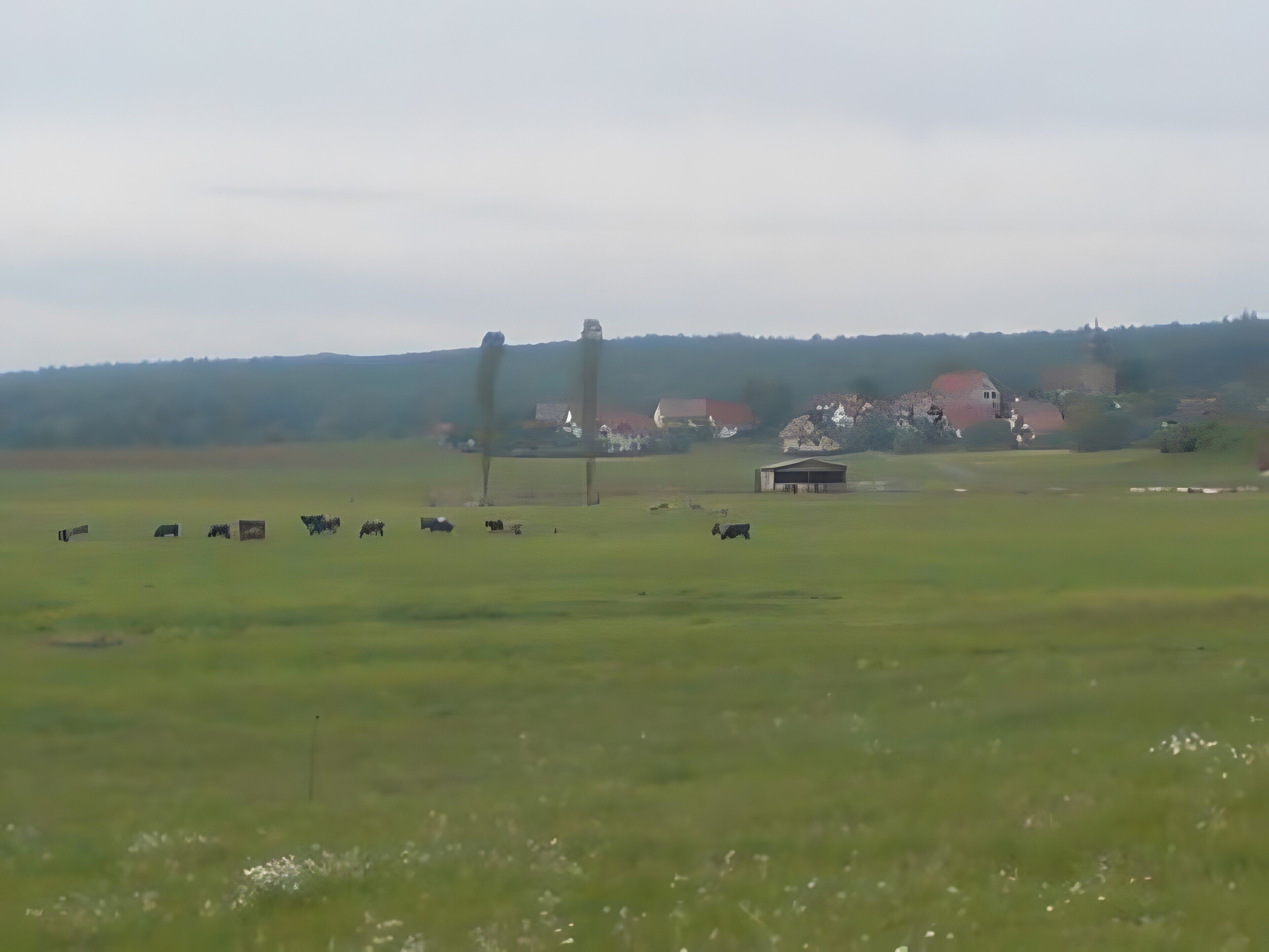 Paisagem rural com um celeiro e algumas vacas em um campo.