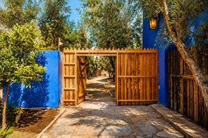 Une porte en bois qui mène à un sentier bordé d’arbres et flanqué d’un mur bleu.