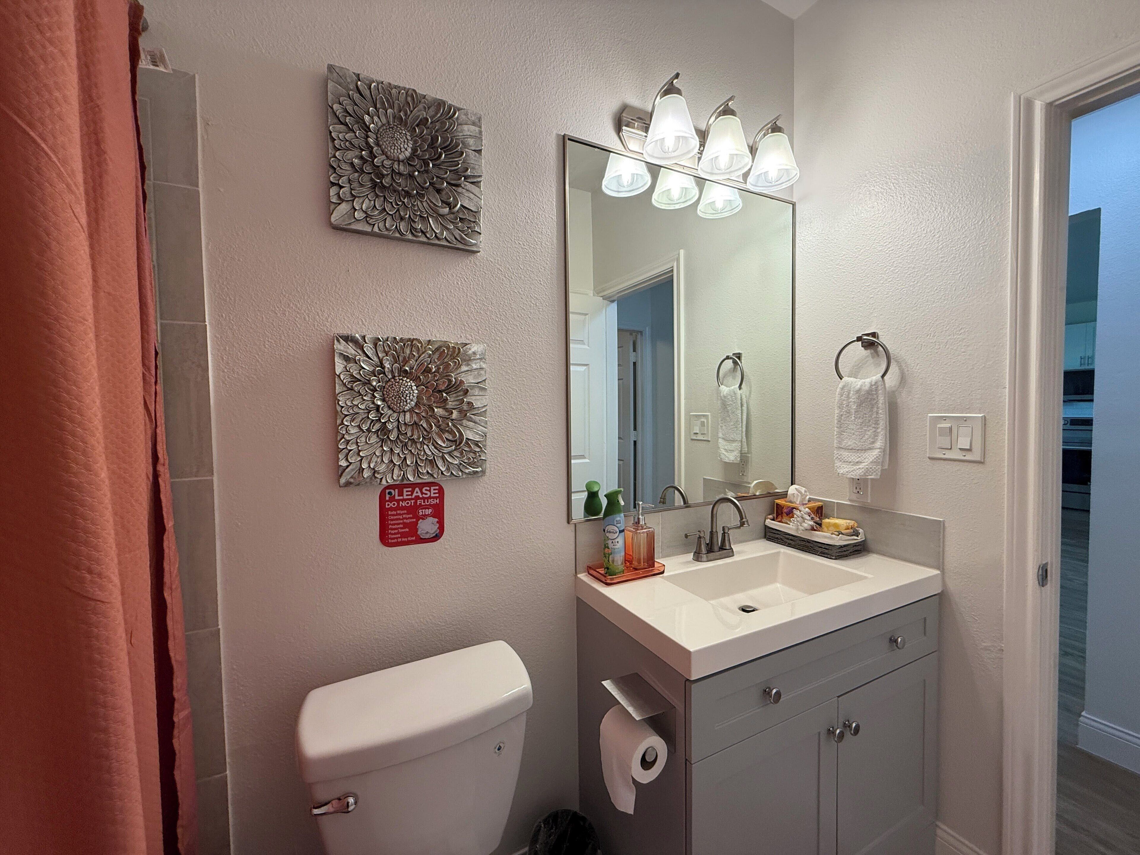 A bathroom with a toilet, sink, mirror, and decorative wall art.
