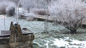 Un jardin doté d’une structure métallique, peut-être une fontaine, entouré d’herbe et d’arbres recouverts de neige.