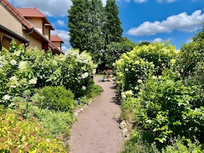 A garden path leading to a building with a red roof, surrounded by lush greenery and flowering plants.