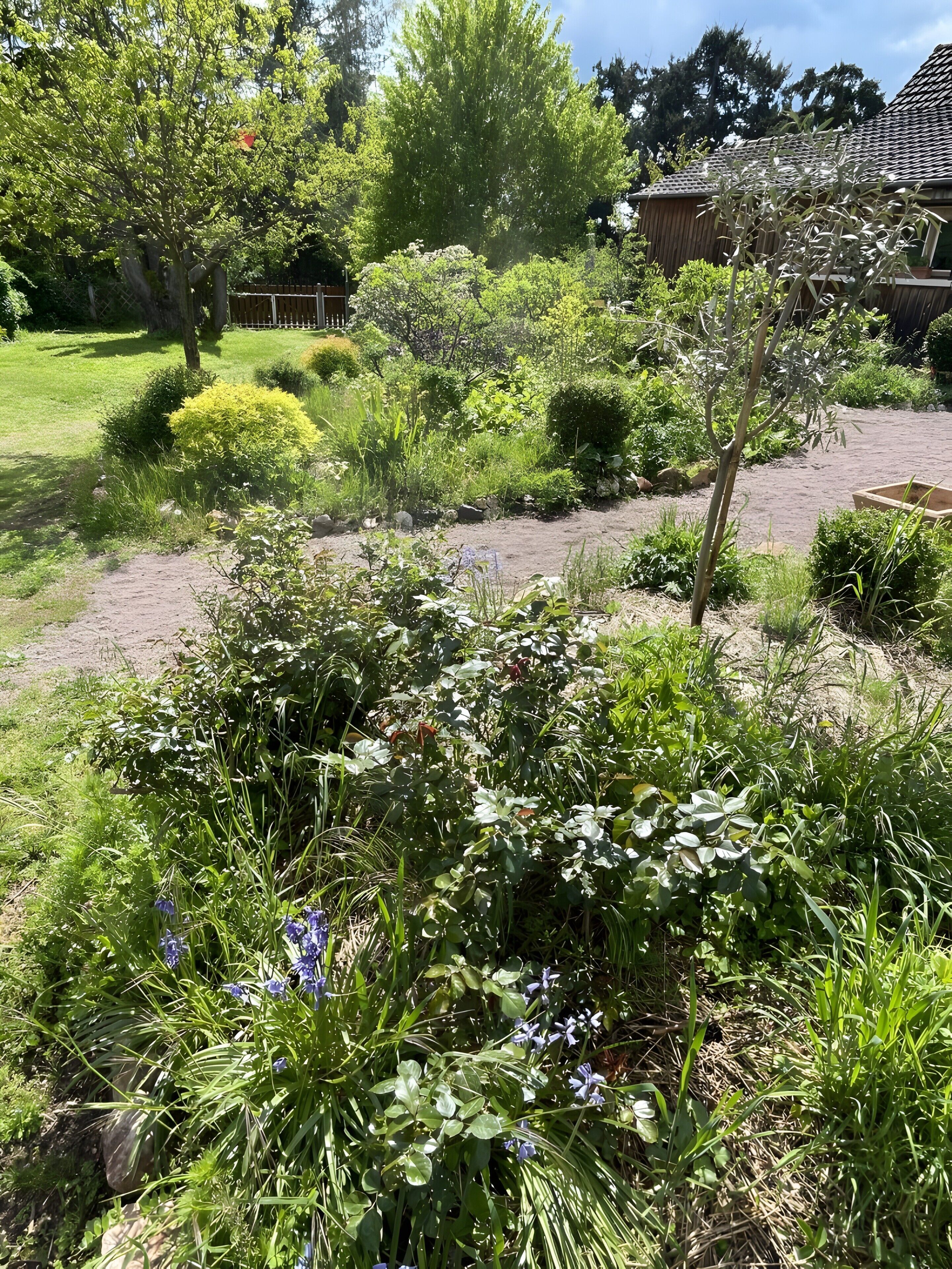 Un jardin avec différentes sortes de plantes et une clôture en bois.