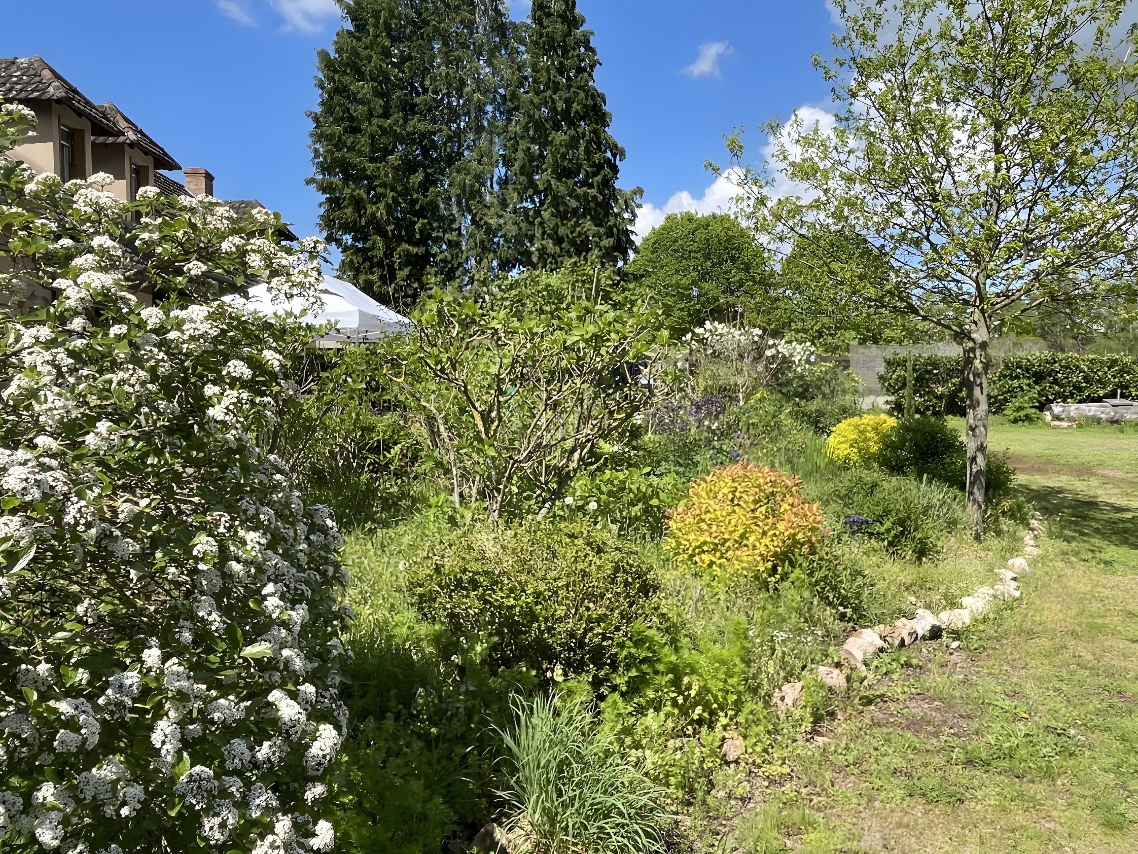 Un jardin avec différentes plantes et arbres, un sentier en pierre et un bâtiment en arrière-plan.