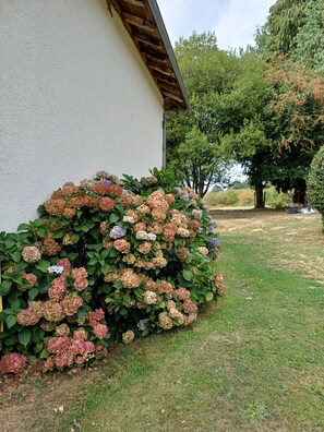 Un bâtiment à l’extérieur blanc et dont le bord du toit est en bois.