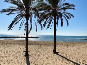 Ein Strand mit zwei Palmen und freiem Blick auf das Meer.