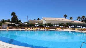 A swimming pool with sun loungers and umbrellas, surrounded by palm trees and a building with a flat roof.