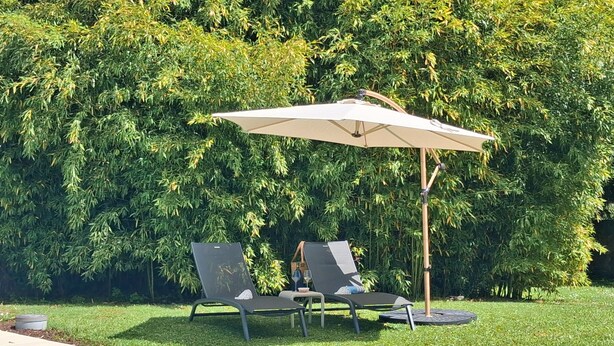 Et poolområde med to liggestole og en stor parasol, omgivet af frodig vegetation.