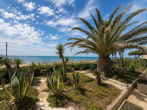 Ein Küstengarten mit Palmen, Agaven und einem Weg zum Strand.