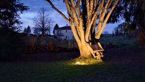 Un arbre sous lequel se trouve un banc, une maison en arrière-plan et une zone herbeuse.