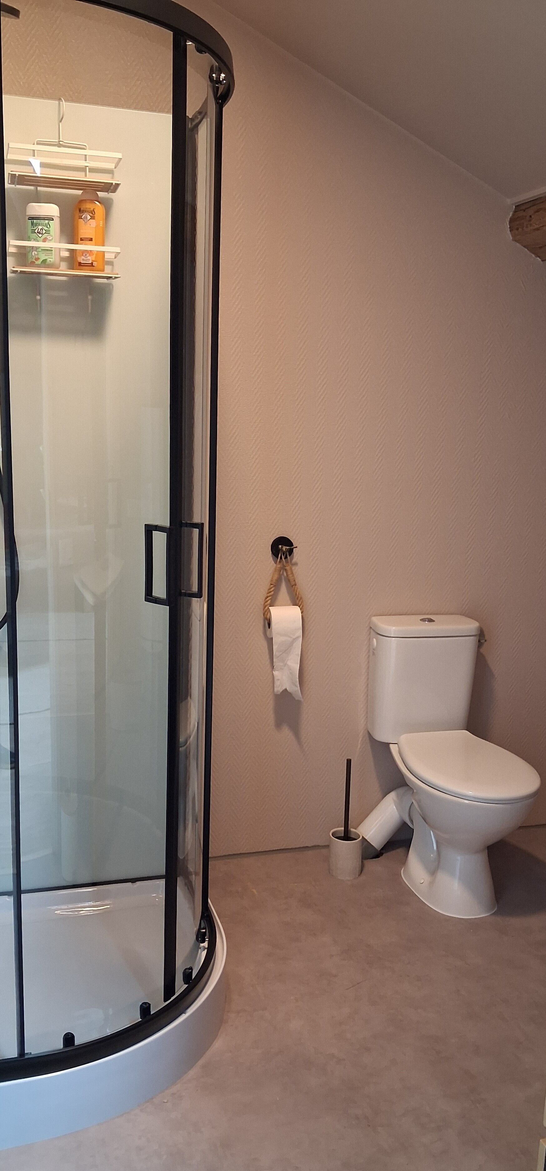 Une salle de bain avec une douche à parois de verre, des toilettes et un porte-serviettes.