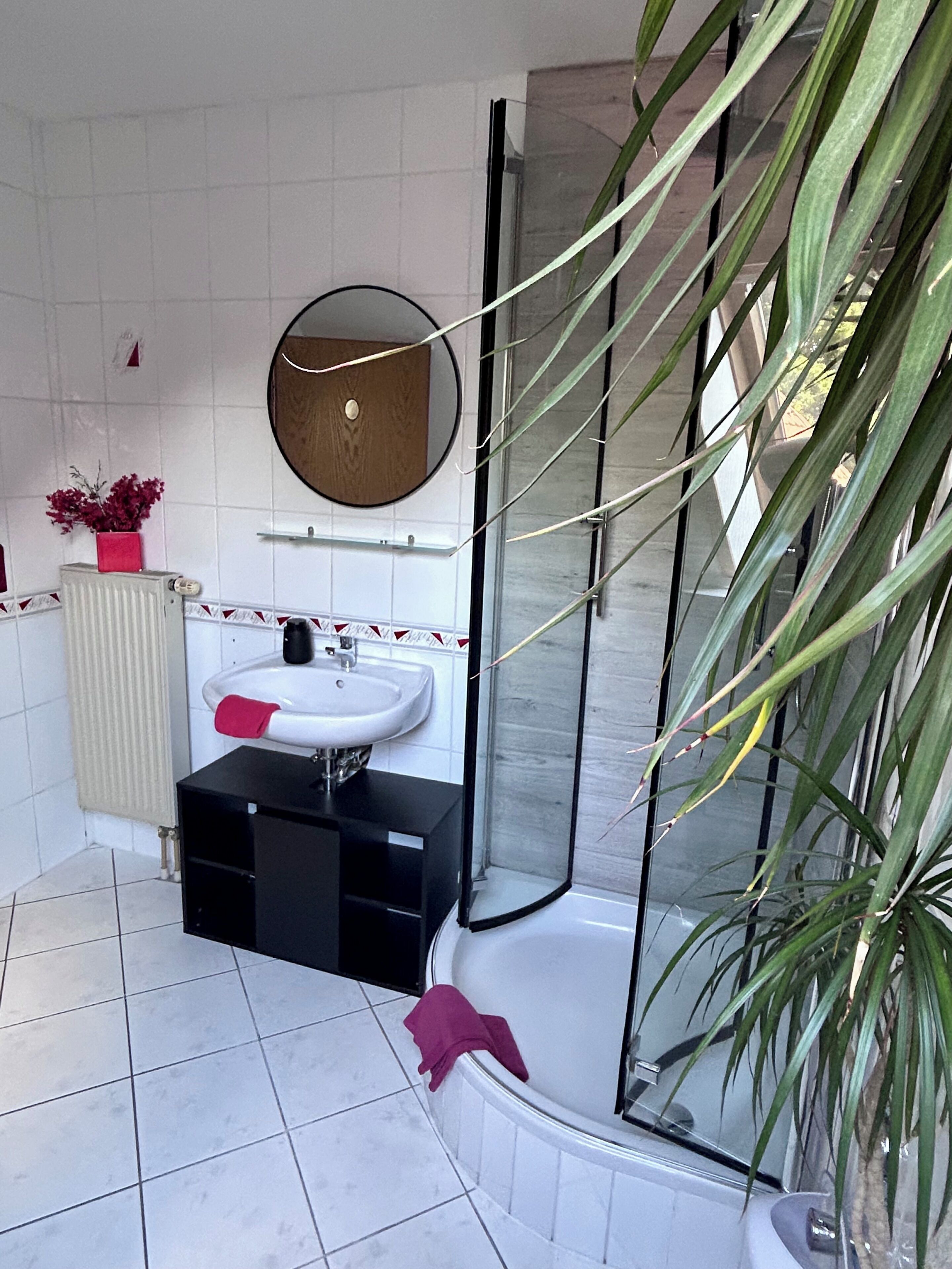 A bathroom with a white sink, a mirror, a shower, and a potted plant.