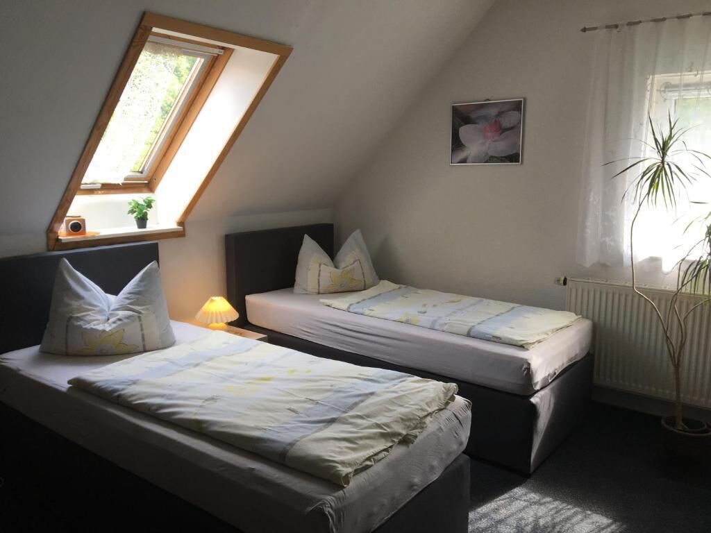 A small, cozy bedroom with two single beds, a skylight, a radiator, and a potted plant.