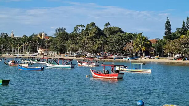 A marina with various boats docked, a clear sky, and a backdrop of trees and buildings. - Fully furnished apartment near the beach and Beto Carrero World! (Penha  SC)