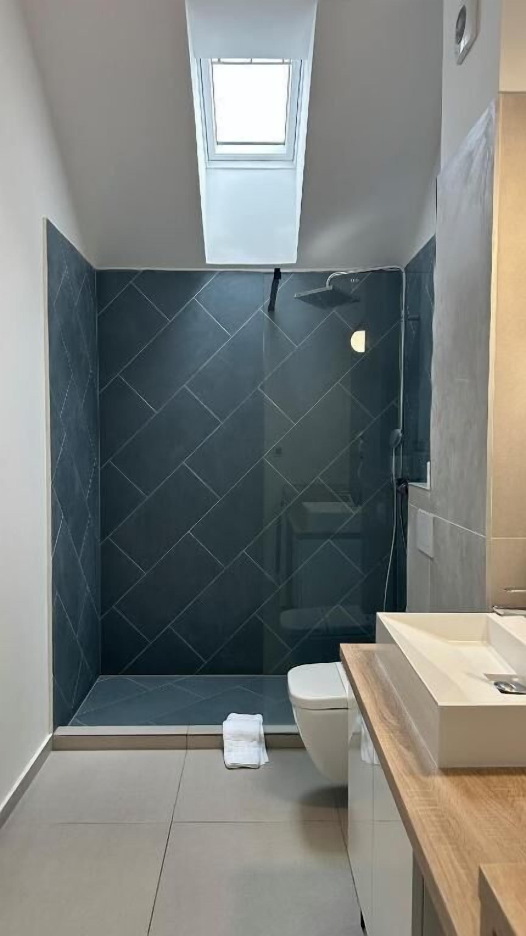 A modern bathroom with a shower, toilet, and a skylight.