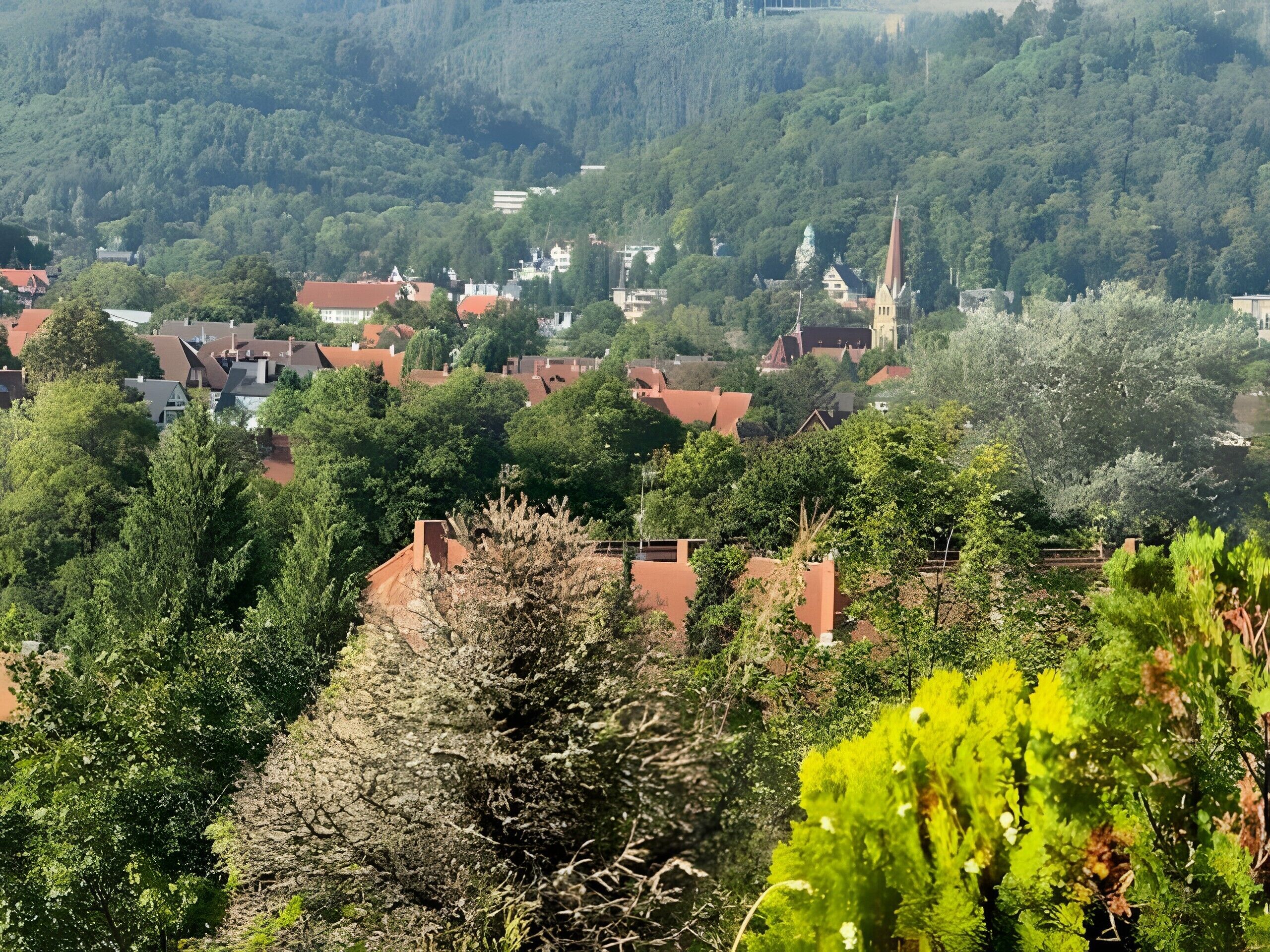 A town with red-roofed buildings, a church with a tall spire, and dense green trees.