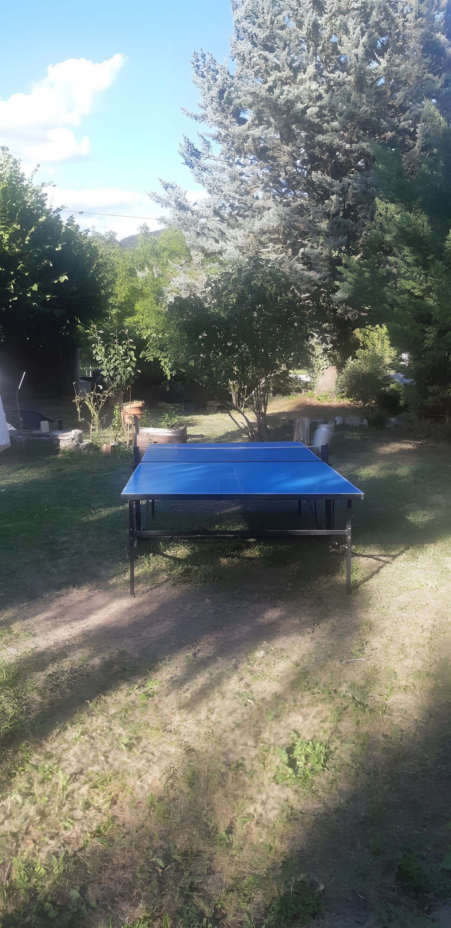 Une table de ping-pong bleue, installée dans un espace extérieur avec de l’herbe et des arbres.