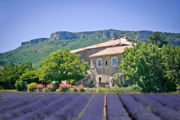 Un edificio de piedra con tejado de baldosas, rodeado de abundante vegetación y un campo de lavanda.