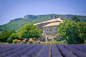 Un bâtiment en pierre, surmonté d’un toit de tuiles, entouré d’une végétation luxuriante et d’un champ de lavande.