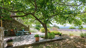 A stone wall, outdoor seating, a tree, and a view of a field. - Cottage near Chauvet Cave and the Ardèche Gorges (Gras)