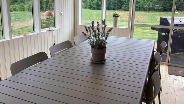Zona pranzo con tavolo, sedie, una pianta in vaso e una griglia esterna.