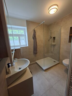 Een badkamer met een douche met glazen wand, een wastafel en een toilet.