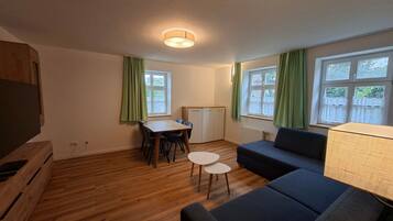 Fernseher
