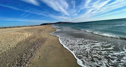 ️BEACH FRONT STUDIO️SUPERB VIEW️