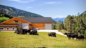 Uma fazenda com celeiro, vacas pastando e montanhas ao fundo.