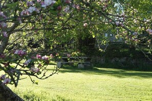 Property grounds - Romantic Retreat for Two in a Historic Devon Music Room (Kingsbridge)