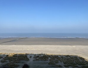 Ein weiter Sandstrand bei strahlend blauem Himmel.