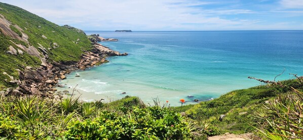 A coastal landscape with a clear view of the sea, rocky shoreline, and lush greenery.