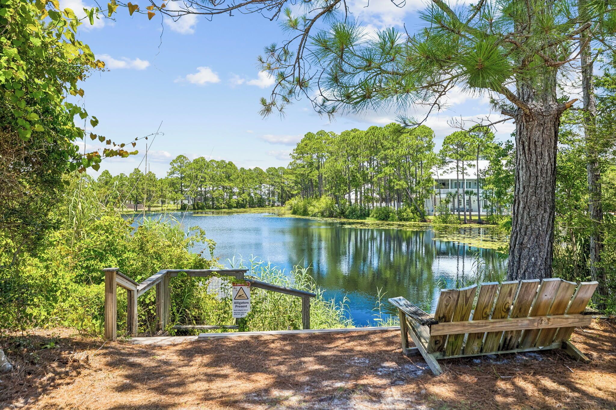 A bench overlooking a lake with a warning sign for alligators, surrounded by trees and a clear sky.