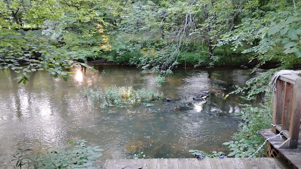 Une terrasse en bois donnant sur une rivière, entourée d’une végétation luxuriante.
