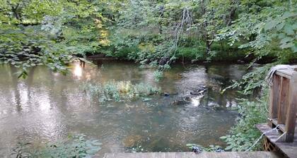 Turtle Place on Terrapin Creek