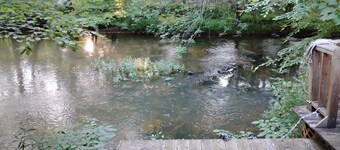 Turtle Place on Terrapin Creek