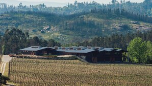 A vineyard with a modern building featuring multiple roofs and a paved driveway. - Casa Villae Relais & Châteaux - The most charming house in the Dão region (Silvã de Cima)