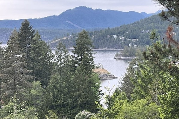 Un paysage montagneux, avec une forêt dense et une étendue d’eau.