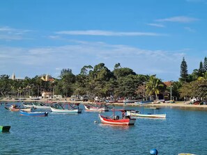 A marina with various boats docked, a clear sky, and a backdrop of trees and buildings. - Ideal apartment for families! Rest and Tranquility (Penha SC)