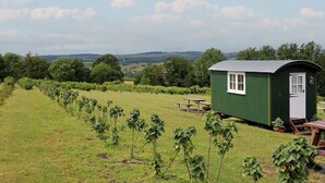 Een groene cottage met een klein portaal, een raam en een deur, gelegen in een grasveld met uitzicht op verre heuvels.