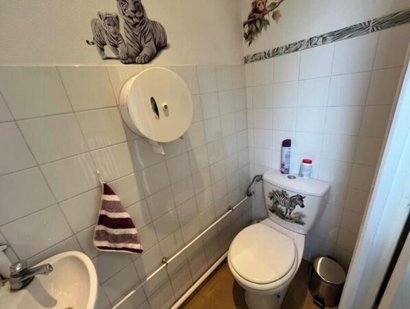 Ducha, secador de pelo, toallas, jabón