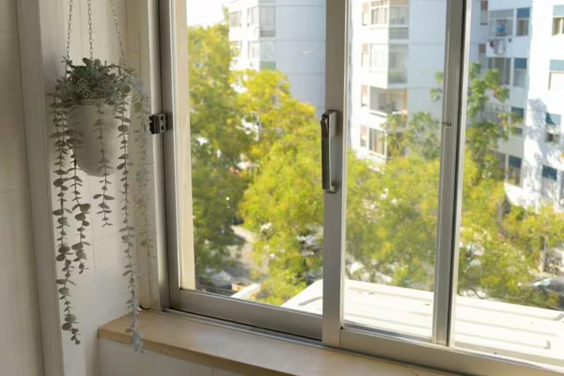 Una finestra con vista su una zona residenziale, una pianta pensile e una maniglia.
